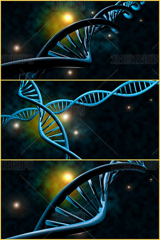 Dnaֽƴ