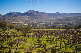 ٻתΪѽʱ԰ƽ𲩵ɳĮ˹ɽ elqui valley