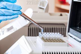 Ϊ pcr dna 