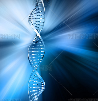  dna