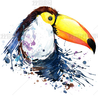 toucan T-shirt graphics. toucan illustration with splash watercolor textured  background.unusual ill