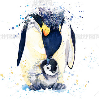 emperor penguin T-shirt graphics. emperor penguin illustration with splash watercolor textured backg