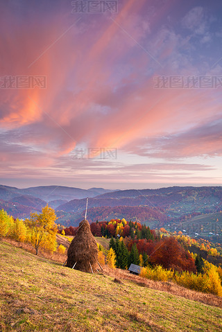 秋天的风景与美丽的天空和云彩。在山村的草地上堆放干干草。山坡上的白桦林。惊人的黎明。喀尔巴阡山, 乌克兰, 欧洲
