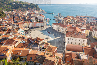 ʫ续ľɳ piran ˹.