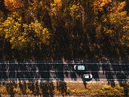 秋季在穿过森林的道路上的两辆白色汽车的鸟图, 无人机的观点就在正上方