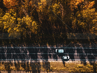 秋季在穿过森林的道路上的两辆白色汽车的鸟图, 无人机的观点就在正上方