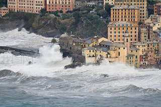  camogli Ϸ籩