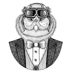 毛茸茸的波斯猫动物的肖像佩带飞行员头盔和夹克与弓领带飞行俱乐部手绘纹身, t-shirt, 徽章, 标志, 徽章, 补丁的例证