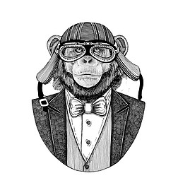 黑猩猩猴动物穿夹克与弓领带和车手头盔或 iatior 头盔。优雅的摩托车手, 摩托骑手, 飞行员。图像为纹身, t-shirt, 徽章, 徽章, 标志, 补丁