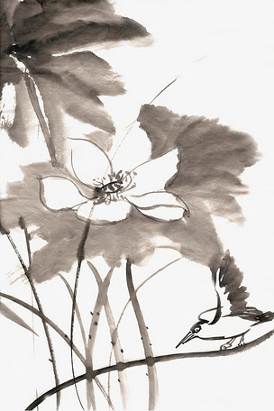 荷叶下的小鸟水墨画png免抠素材