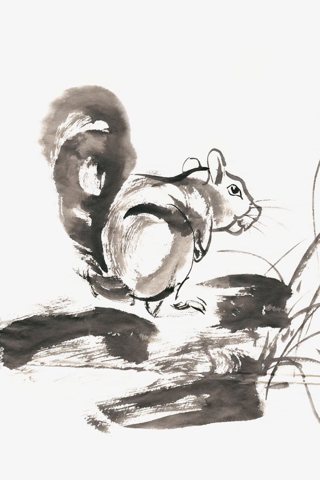 小松鼠水墨画png免扣素材