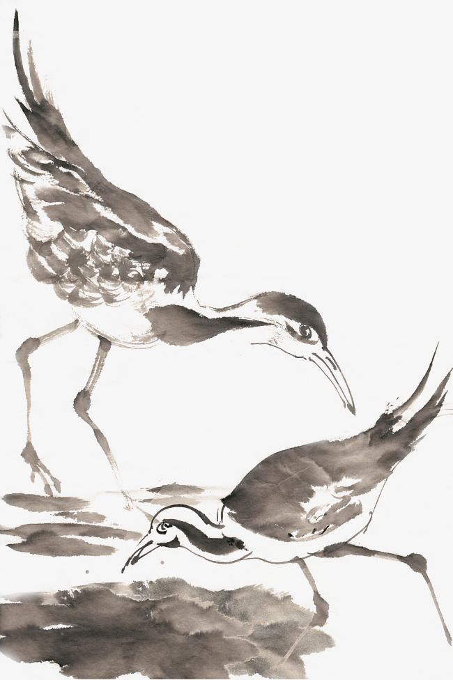 觅食的鸟水墨画png免抠素材