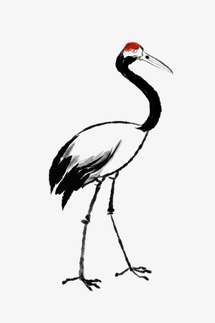 水墨黑白色仙鹤插画
