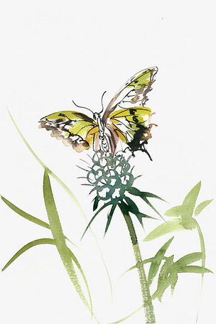 黄色蝴蝶水彩画png免抠素材