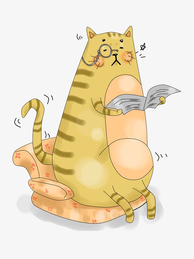 卡通手绘原创厚涂慵懒看报纸的猫插画png