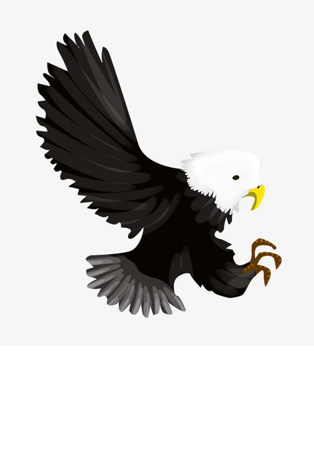 手绘飞翔的老鹰插画