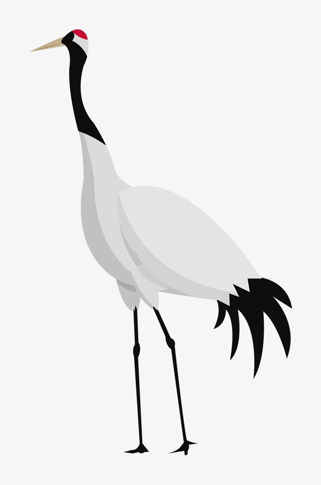 手绘行走的白鹤插画素材简介我图网提供手绘行走的白鹤插画下载,您