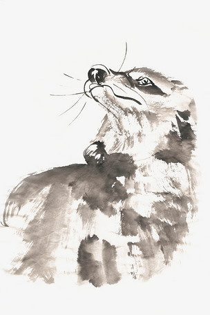 仰脸张望的狐狸水墨画png免抠素材