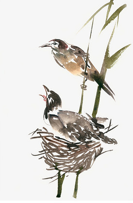 鸟归巢水彩画png免抠素材