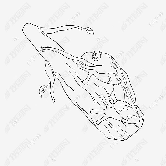 frog clipart black and white ɰܲʳ