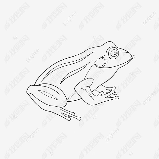 frog clipart black and white ɰܼ