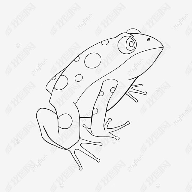 frog clipart black and white ɰֻ