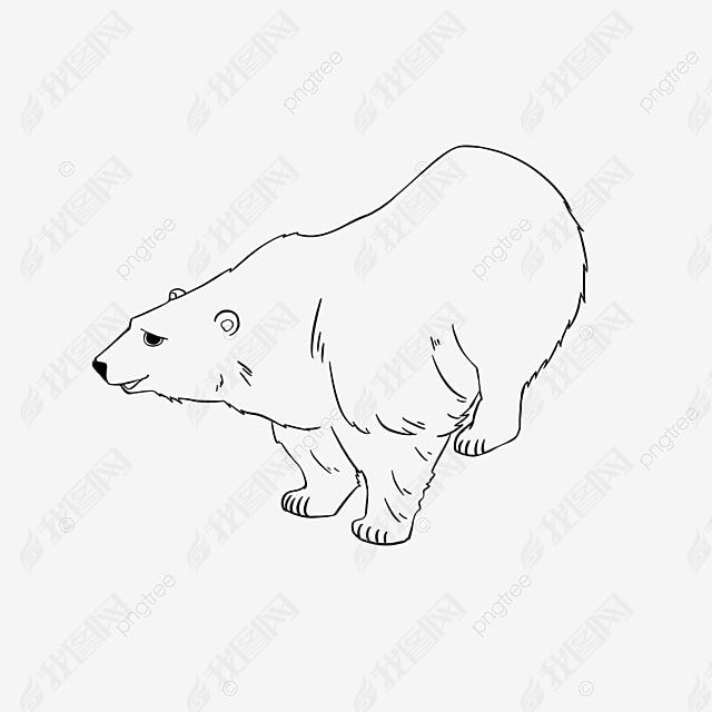 bear clipart black and white ͨ߸ԾС