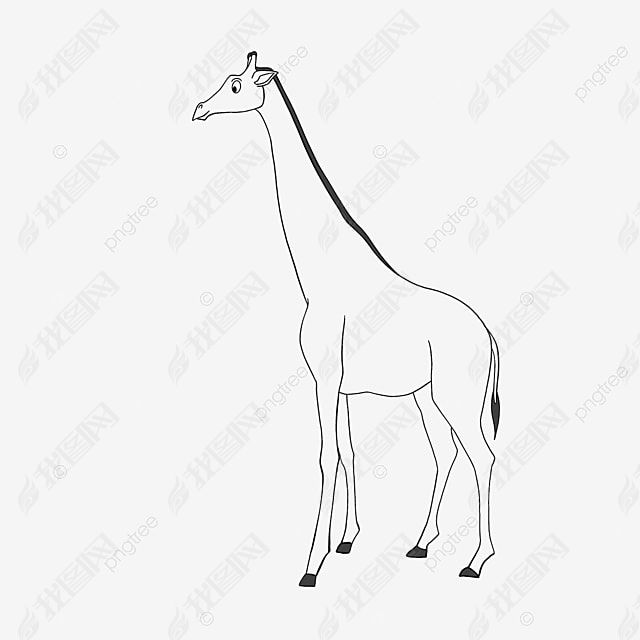 giraffe clipart black and white ¹ɰͯڰ߸