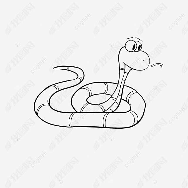 snake clipart black and white ɰС߿ͨ