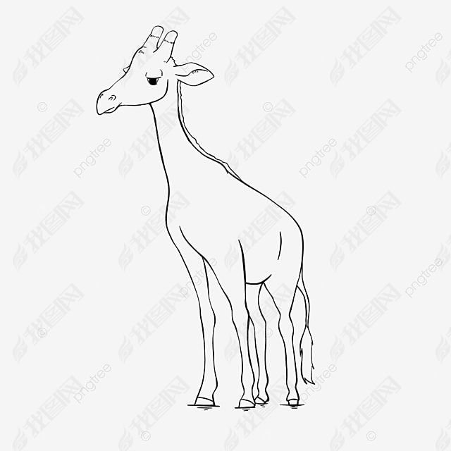 giraffe clipart black and white ߸峤¹վɰͯ