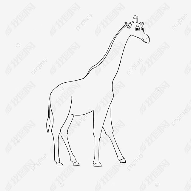 giraffe clipart black and white ߸峤¹ɰͯ