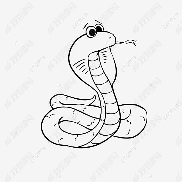 snake clipart black and white Сߺڰ׼