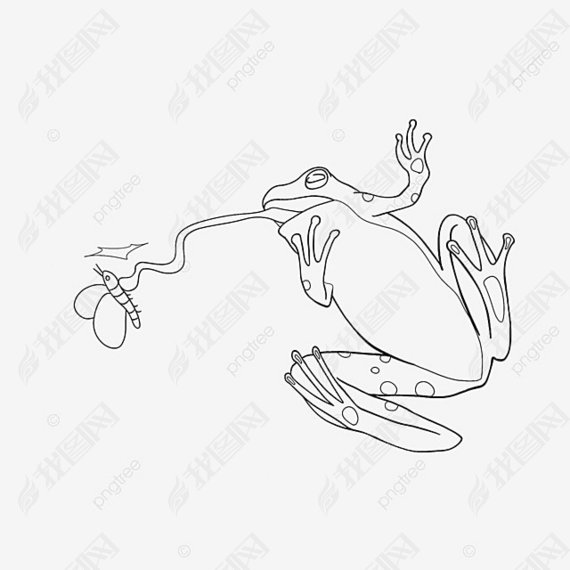 frog clipart black and white ɰܲʳ