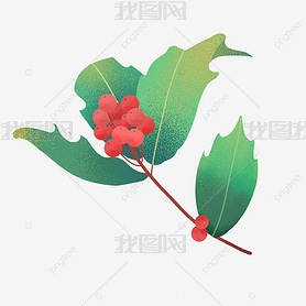 ֻ泣֦holly