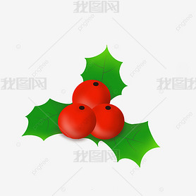 ʥڶholly brooch