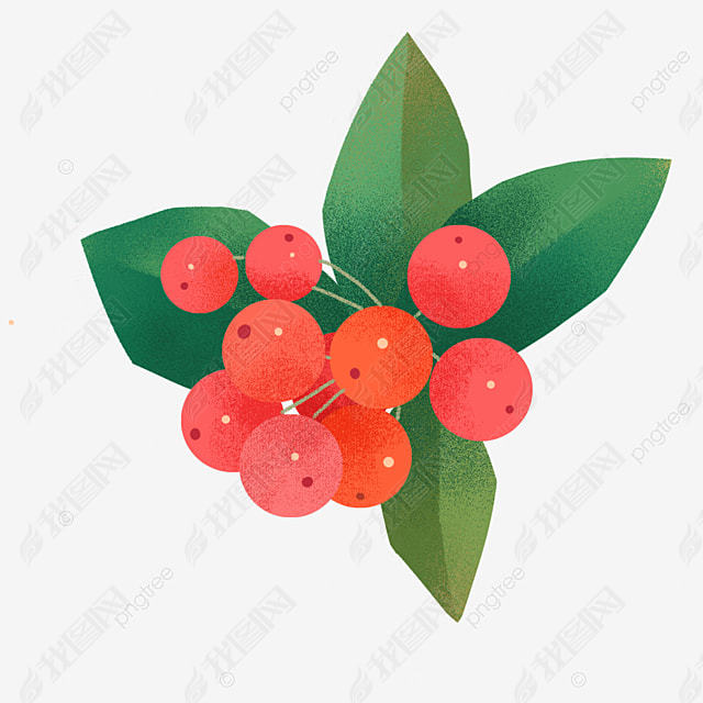 ֻʥֲholly