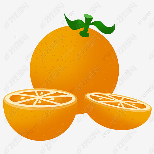 ɫֻorangeclipartˮ