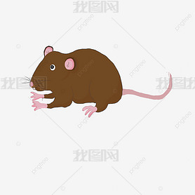 ɫrat clipart