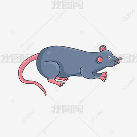 rat clipart ɫ