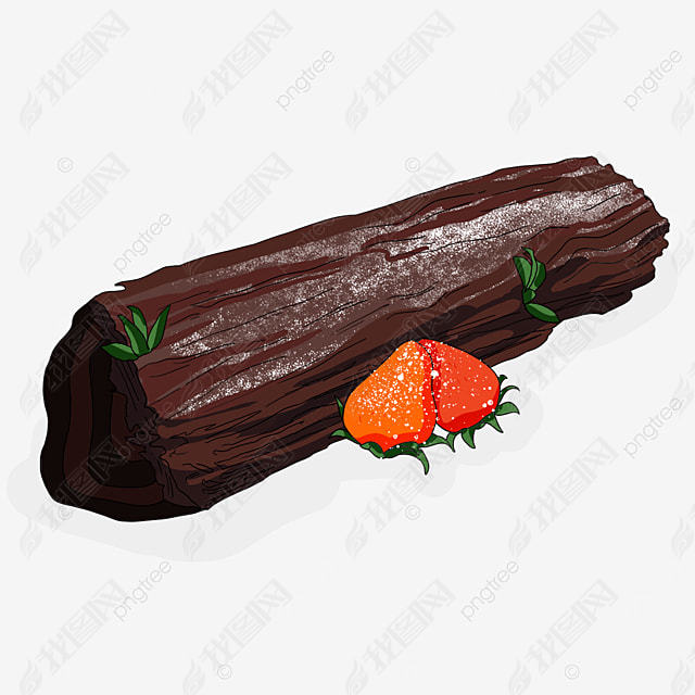 yule log cakeʥɿݮɵ