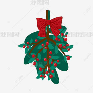 Ҷֲʥmistletoe