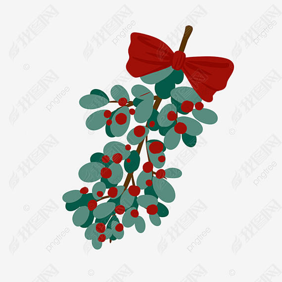 ֦֦ʥʵʥmistletoe