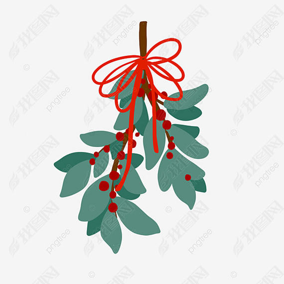 ɫ˿ʥmistletoe