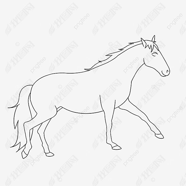 horse clipart black and white 