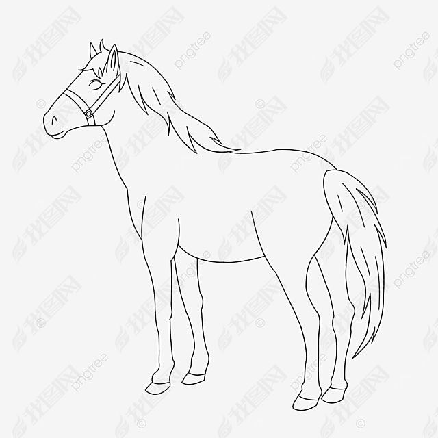 horse clipart black and white 