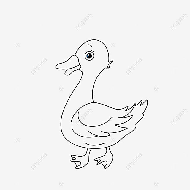 惊讶的鸭子剪贴画黑白素材简介我图网提供惊讶的鸭子剪贴画黑白下载