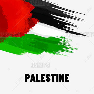 palestine ink texture flag