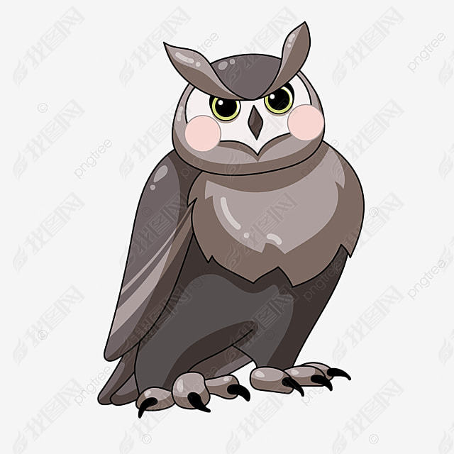 owl clipartδüվëèͷӥ