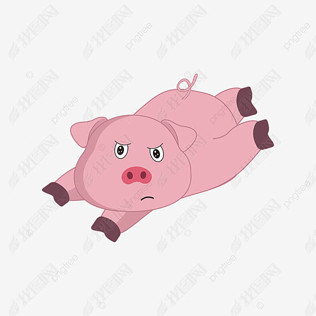 ЦſСɰͨɫʸԪ pig clipart