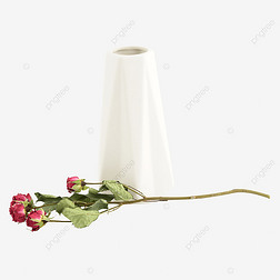 天然的干花与白色陶瓷花瓶
